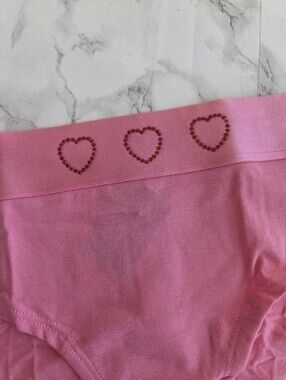 Victoria's Secret PINK Logo Cotton Hiphugger Hipster Panties L NWT